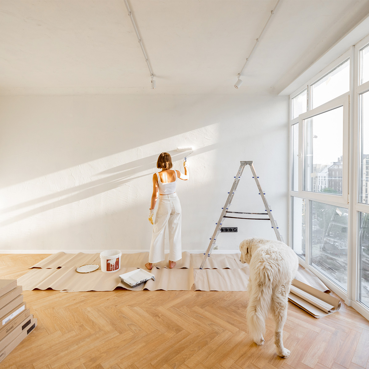 origami-renovation_renovations_strategiques_1